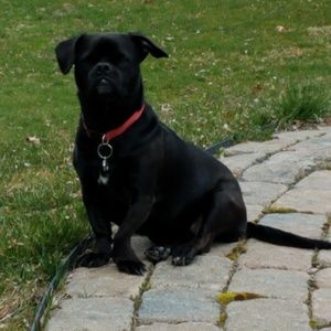 Meet your Posher, Penny